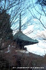 観梅　清凉寺の軒端梅 : 嵯峨釈迦堂の空　広くて高い青がよい