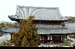 ご利益はぽっくり : 三門楼上より東福寺本堂