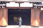 先駆けの桜 : 桜と剣をレンズに入れたかった