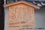 洛中洛外京桜図　一見さんの桜に通の桜編　その一