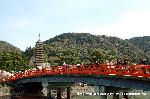 桜と茶だんごで宇治三昧
