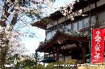 桜と茶だんごで宇治三昧 : 宇治川を臨む喫茶がある