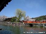 桜と茶だんごで宇治三昧 : 塔の島と橘島にかかる橋