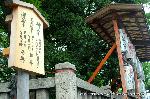 京の春祭/　紫野御霊会　今宮神社