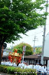 京の春祭/　紫野御霊会　今宮神社 : 千本通を南下する大宮神輿