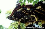 京の大仏さんを訪ねて