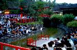 京の蛍
