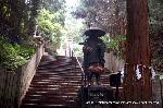 狸谷不動院　千日詣り火渡り祭