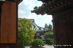 織田信長を訪ねて　阿弥陀寺・大雲院・総見院 : 浄土宗阿弥陀寺の墨文字がかろうじて