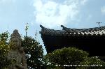織田信長を訪ねて　阿弥陀寺・大雲院・総見院