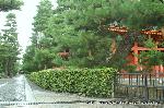 織田信長を訪ねて　総見院・本能寺・二条殿 : 総見院は突き当たり左の二ヶ寺目である