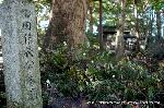 織田信長を訪ねて　　安土城址 : 織田信長公本廟の石碑