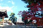 秋のくろ谷　金戒光明寺 : 左手は鐘楼　右手に今は納骨堂が建つ