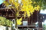 秋のくろ谷　金戒光明寺