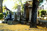 最後の紅葉あれこれ
