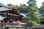 秋の物見遊山 / 紅葉見・観楓