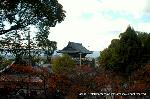 秋のくろ谷　金戒光明寺