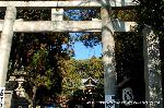 初詣にうさぎ神社へ　狛兎の岡崎神社 : 鳥居を潜ると拝殿まで三基の狛犬と狛兎が鎮座している