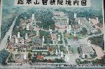 智積院の梅園に佇む : 阿弥陀が峰の麓にある智積院