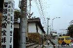 智積院の梅園に佇む : 東大路に沿って　総門から石積みが続く