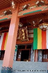 智積院の梅園に佇む
