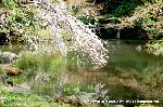 京都大地震から200年