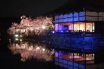 平安神宮　紅しだれコンサート