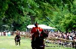 葵祭の前儀　賀茂競馬会