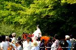 葵祭の前儀　賀茂競馬会