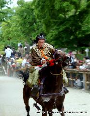 葵祭の前儀　賀茂競馬会 : 急には止まれない。勝負の桜を過ぎても疾走しつづける。