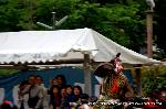 葵祭の前儀　賀茂競馬会 : 勝敗が決まっていても、鼓舞する声に駈け走る「金津庄（かねづのしょう」）