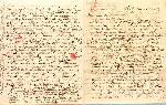 ならぬものはならぬ　新島八重 : 養母A.H.ハーディー夫人宛書簡