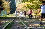  南禅寺の奥山　神明山の紅葉 : インクライン(傾斜鉄道)