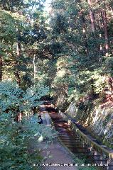  南禅寺の奥山　神明山の紅葉