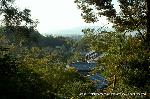  南禅寺の奥山　神明山の紅葉 : 疎水路縁の樹木の切れ間から市内眺望