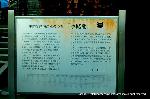 秋の物見遊山 / 紅葉見・観楓 : 水路閣