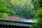  南禅寺の奥山　神明山の紅葉