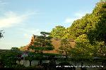  南禅寺の奥山　神明山の紅葉