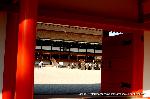 秋季一般公開　京都御所の秋　その1