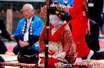 秋、嵐山もみじ祭り : 島原太夫　お点前