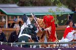 秋、嵐山もみじ祭り : 嵯峨代念仏狂言「紅葉狩り」