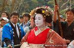 洛外紅葉街道　ドライブ計画 : 島原太夫道中