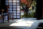 三尾の紅葉　明恵を歩く