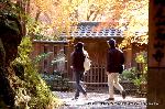 三尾の紅葉　明恵を歩く