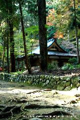 三尾の紅葉　明恵を歩く