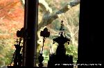三尾の紅葉　明恵を歩く