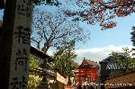 狛龍の伏見神宝神社 : 裏参道より