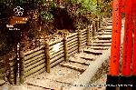 元日詣