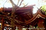 狛龍の伏見神宝神社 : 龍頭社(りゅうずしゃ)