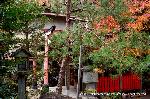 狛龍の伏見神宝神社